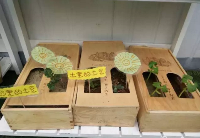 自然角 | 春天来了，植物角该收拾啦！-幼师课件网第30张图片