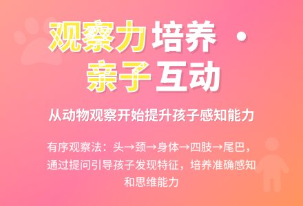 亲子游戏：有序观察动物-幼师课件网