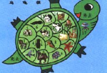 幼儿园中班棋类活动：乌龟棋-幼师课件网