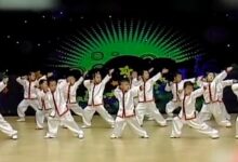 舞蹈视频 | 武术操《精忠报国》-幼师课件网