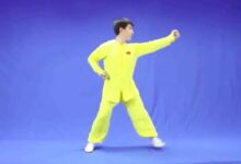 舞蹈视频 | 武术操《中华小子》-幼师课件网