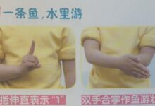 手指谣——小金鱼-幼师课件网
