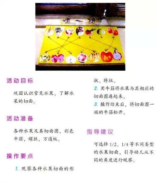 幼儿园区角操作——科学区（2）-幼师课件网第3张图片