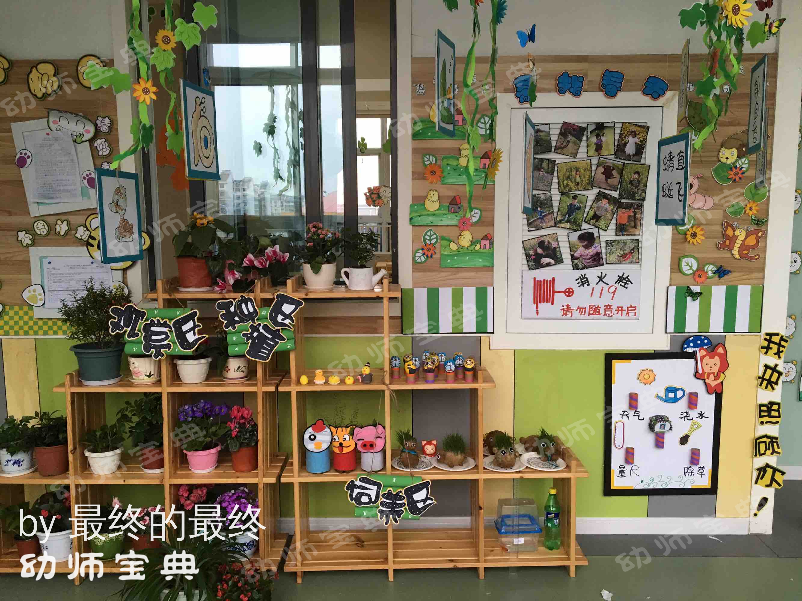 自然角 | 一起去幼儿园的植物角寻找春天吧！-幼师课件网第4张图片