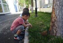 小班艺术活动《可爱的小蜗牛》-幼师课件网