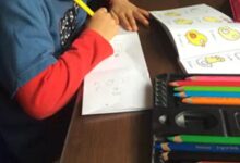 科学小实验——小鸡转身-幼师课件网