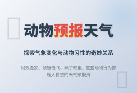 幼儿园大班下学期科学教案《动物和天气》含反思-幼师课件网