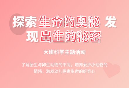 幼儿园大班教案《出生的秘密》含反思-幼师课件网