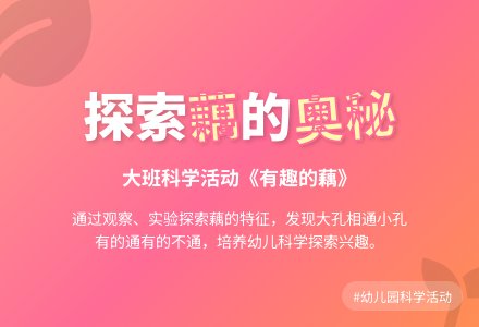 幼儿园大班教案《有趣的藕》-幼师课件网