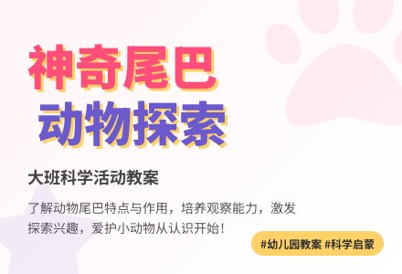 幼儿园大班教案《神奇的尾巴》含反思-幼师课件网