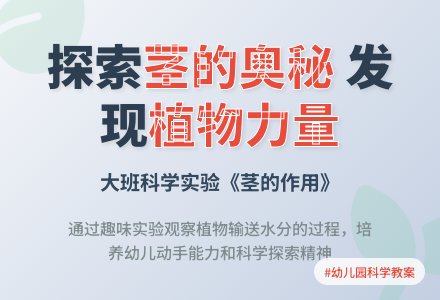 幼儿园大班教案《茎的作用》-幼师课件网
