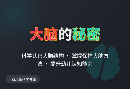 幼儿园大班教案《大脑》-幼师课件网