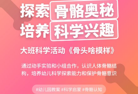 幼儿园大班教案《骨头啥模样》含反思-幼师课件网