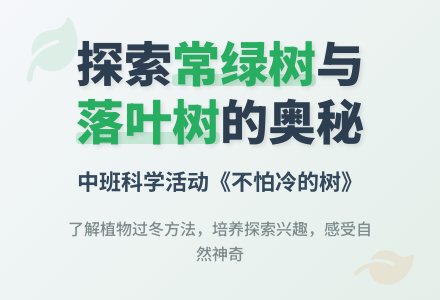 幼儿园中班教案《不怕冷的树》-幼师课件网