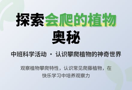 幼儿园中班教案《会爬的植物》-幼师课件网