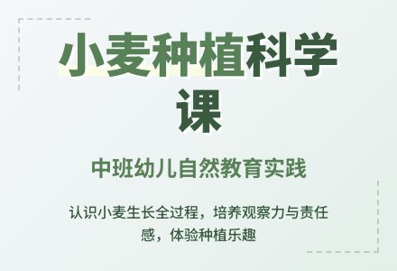 幼儿园中班教案《小麦》-幼师课件网