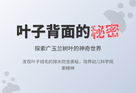 幼儿园中班教案《叶子背面的秘密》含反思-幼师课件网