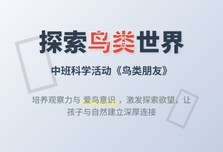 幼儿园中班教案《鸟类朋友》-幼师课件网