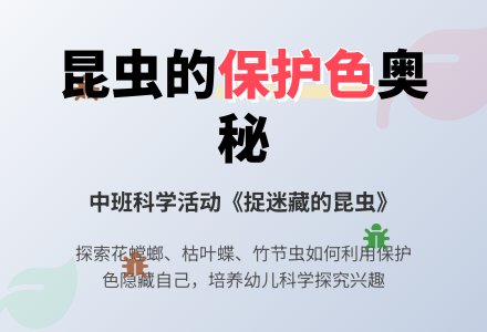 幼儿园中班教案《捉迷藏的昆虫》含反思-幼师课件网