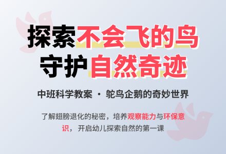 幼儿园中班教案《不会飞的鸟》含反思-幼师课件网