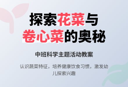 幼儿园中班教案《花菜和卷心菜》-幼师课件网