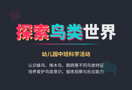 幼儿园中班教案《各种各样的鸟》含反思-幼师课件网
