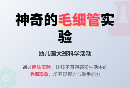 幼儿园大班科学活动――神奇的毛细管-幼师课件网