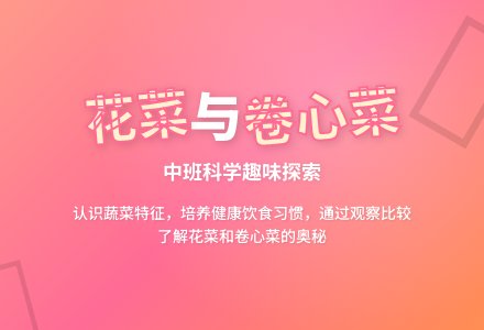 中班上学期科学教案《花菜和卷心菜》含反思-幼师课件网