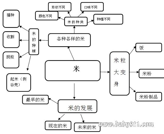 幼儿园大班主题活动教案：米-幼师课件网第1张图片