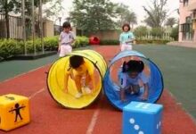幼儿园区域体育活动的组织要点 -幼师课件网