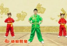 舞蹈视频 | 武术操《十二生肖》-幼师课件网