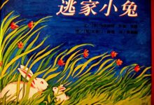 获奖公开课视频 | 大班语言活动《逃家小兔》-幼师课件网