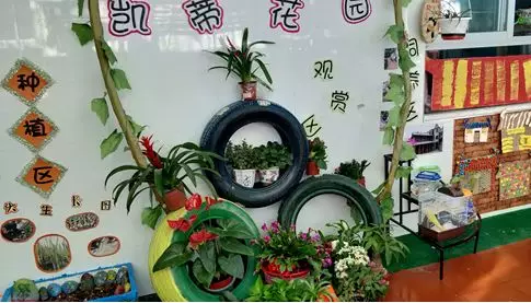 自然角 | 小角落大自然，新生的力量在萌芽-幼师课件网第13张图片