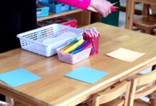 保育工作｜教学活动——集体教学活动的准备与指导-幼师课件网