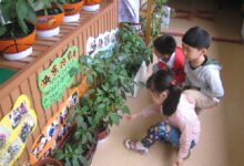 自然角刚建完生长日记就写完了怎么办？-幼师课件网