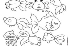 我们一起学画画——水族篇（1）-幼师课件网