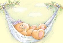 幼儿园大班语言活动：《蓝盒子》-幼师课件网