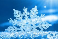大班活动：雪花和雨滴-幼师课件网