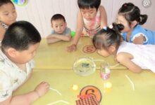 大班科学领域活动 | 空气在哪里？-幼师课件网