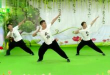 舞蹈视频 | 武术操《黄种人》-幼师课件网