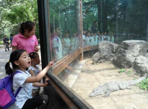 如何打造激发创造力的艺术区-幼师课件网第15张图片