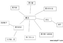 幼儿园中班主题活动《夏天》-幼师课件网