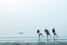 真正的友谊不是感情投资-幼师课件网