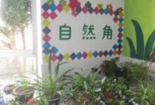 一个幼师的真实故事：当自然角遭遇尴尬后…-幼师课件网