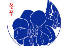 《二十四节气与教师读书系列》冬至篇 | 岁寒松柏之后凋-幼师课件网