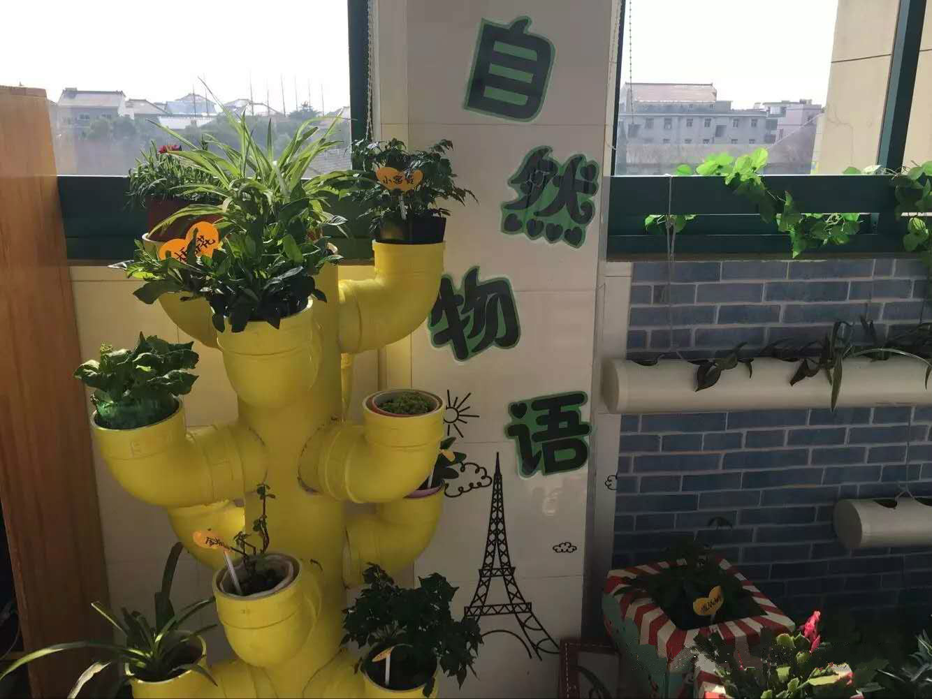 自然角 | 春天来了，植物角该收拾啦！-幼师课件网第24张图片