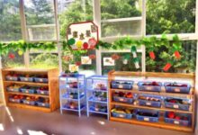 中班半日活动计划——我会购物我会分-幼师课件网