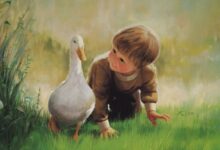 【精选小男生评语】溪头卧剥莲蓬-幼师课件网
