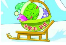 中班科学教案:谁在冬眠-幼师课件网