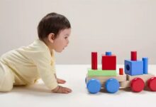 培养逻辑能力的数学游戏-幼师课件网